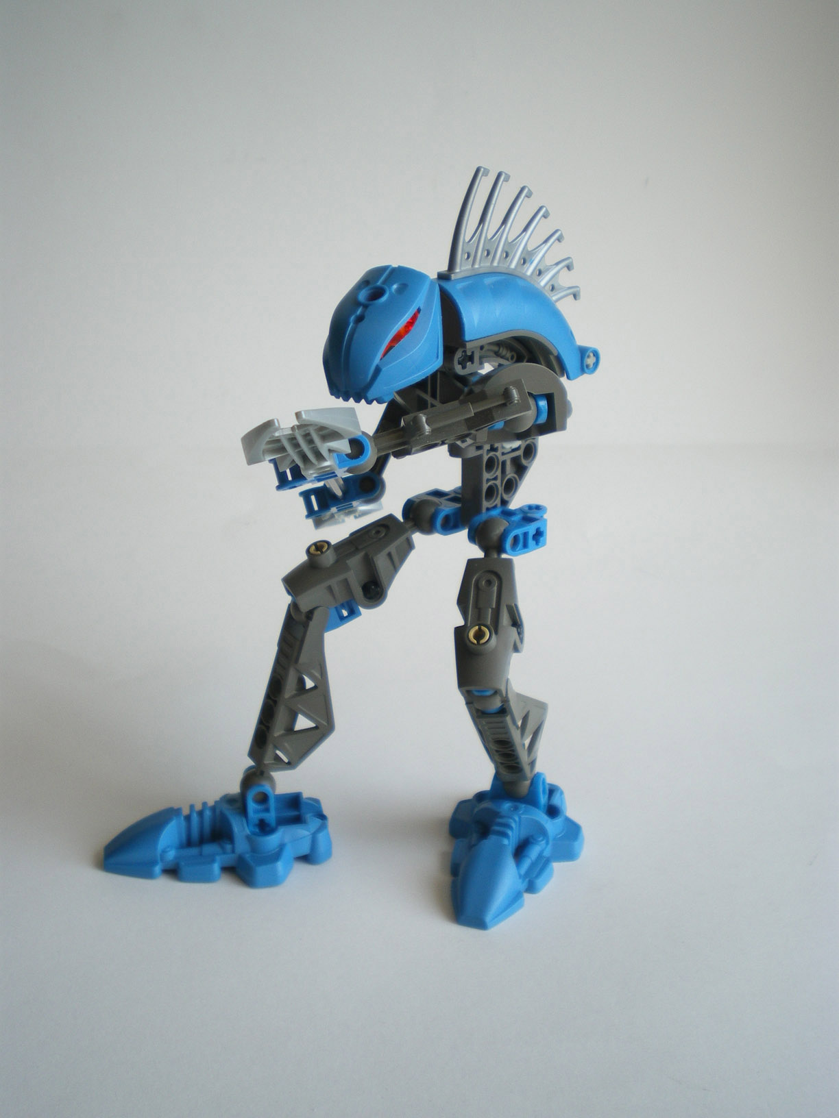 imgp8103.jpg