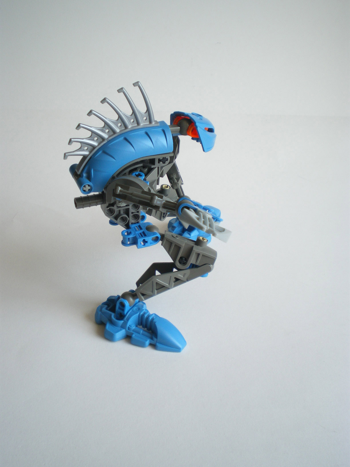 imgp8106.jpg