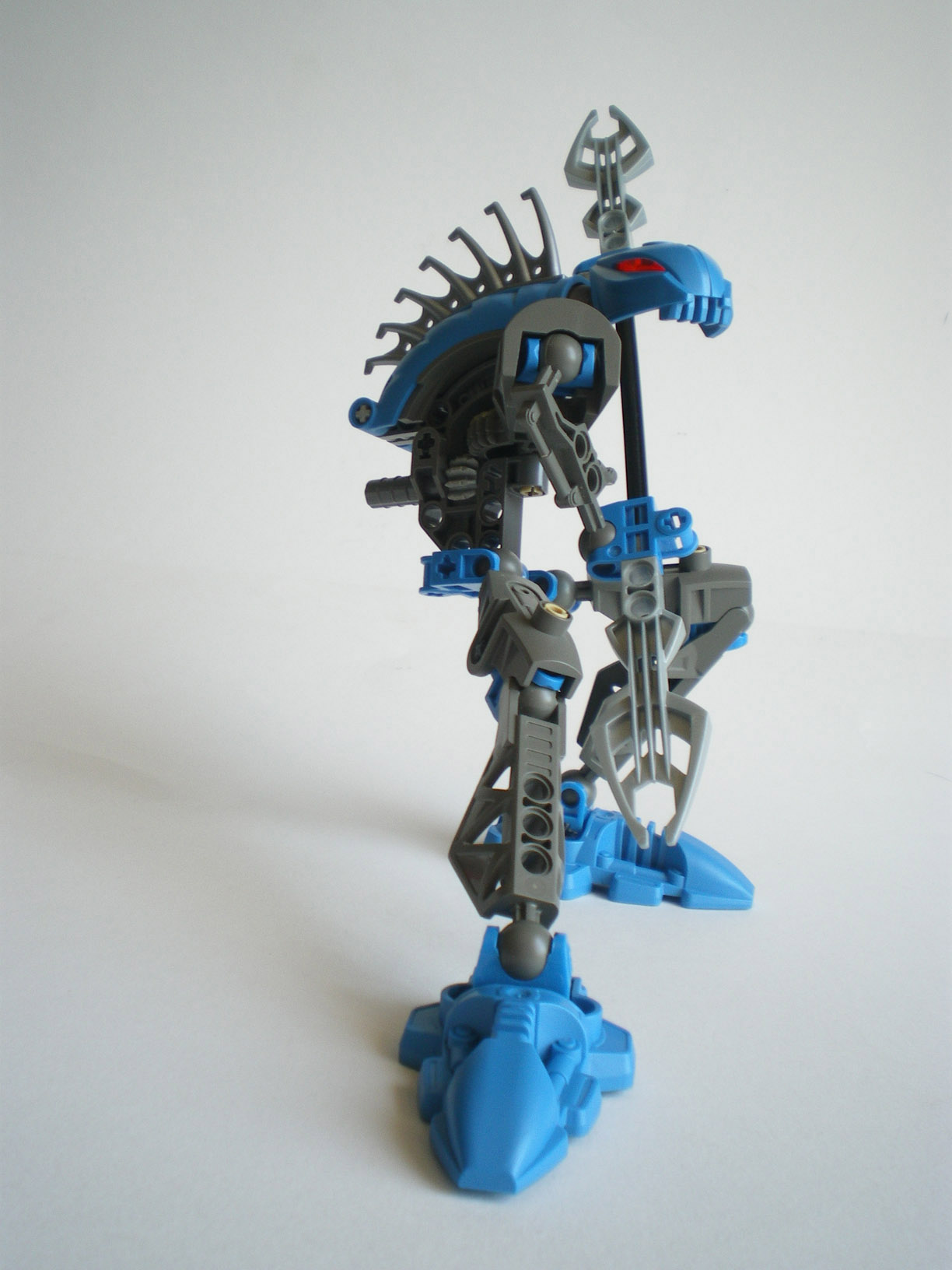 imgp8119.jpg