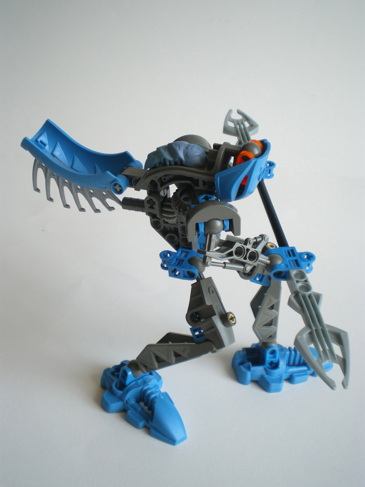 imgp8130.jpg