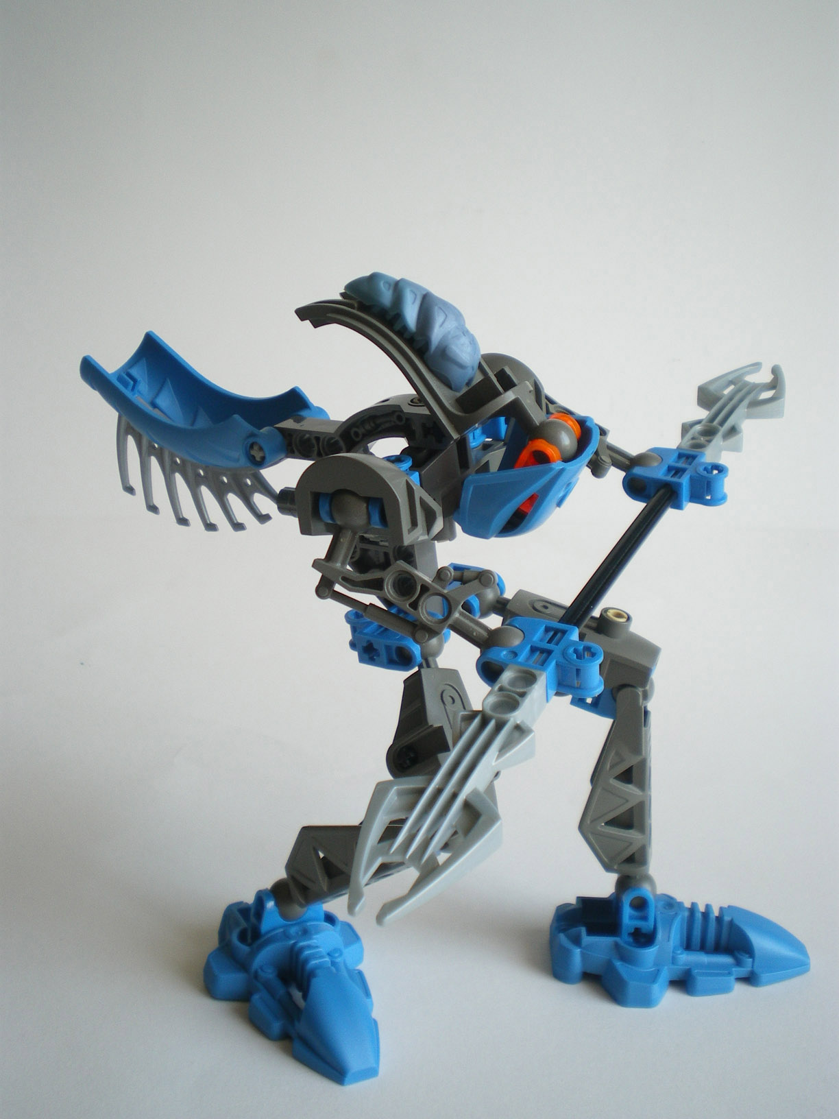 imgp8131.jpg