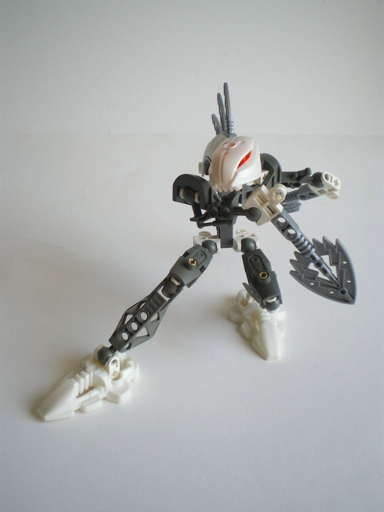 imgp8192.jpg