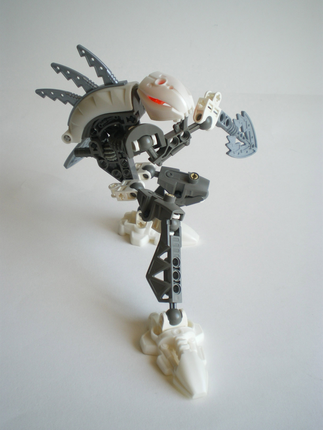 imgp8193.jpg