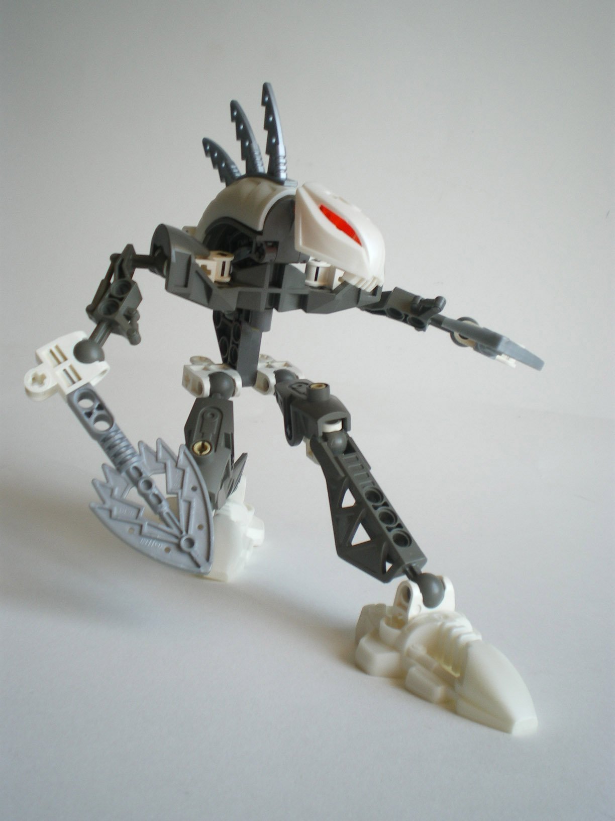 imgp8195.jpg