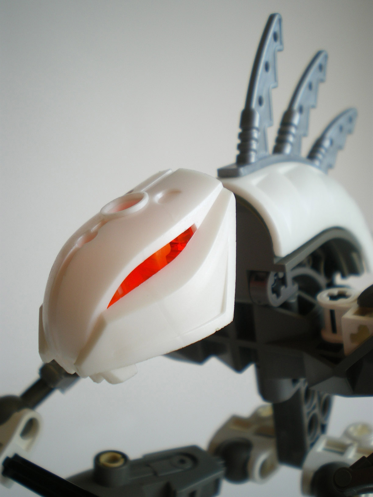 imgp8206.jpg
