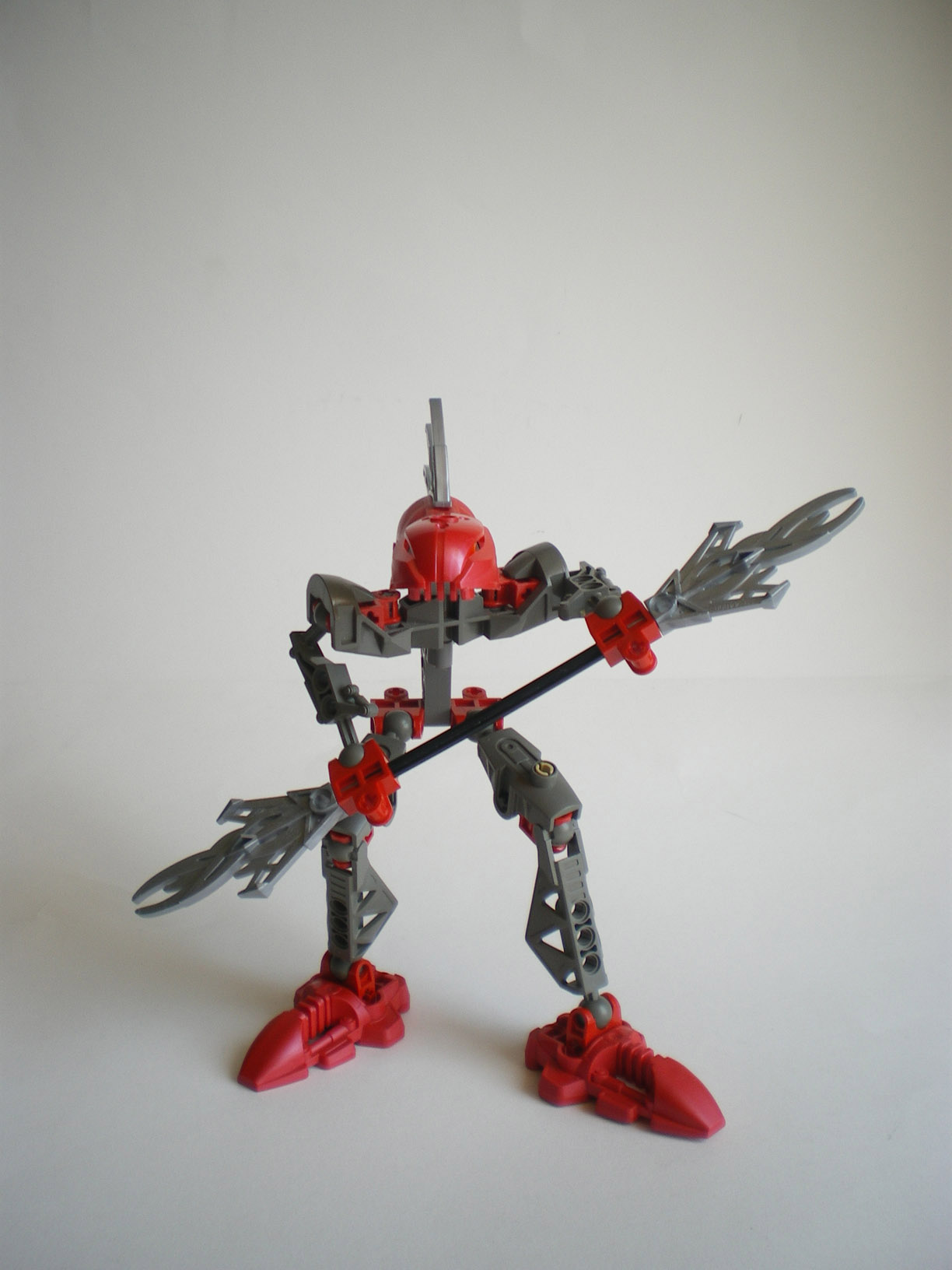 imgp8031.jpg