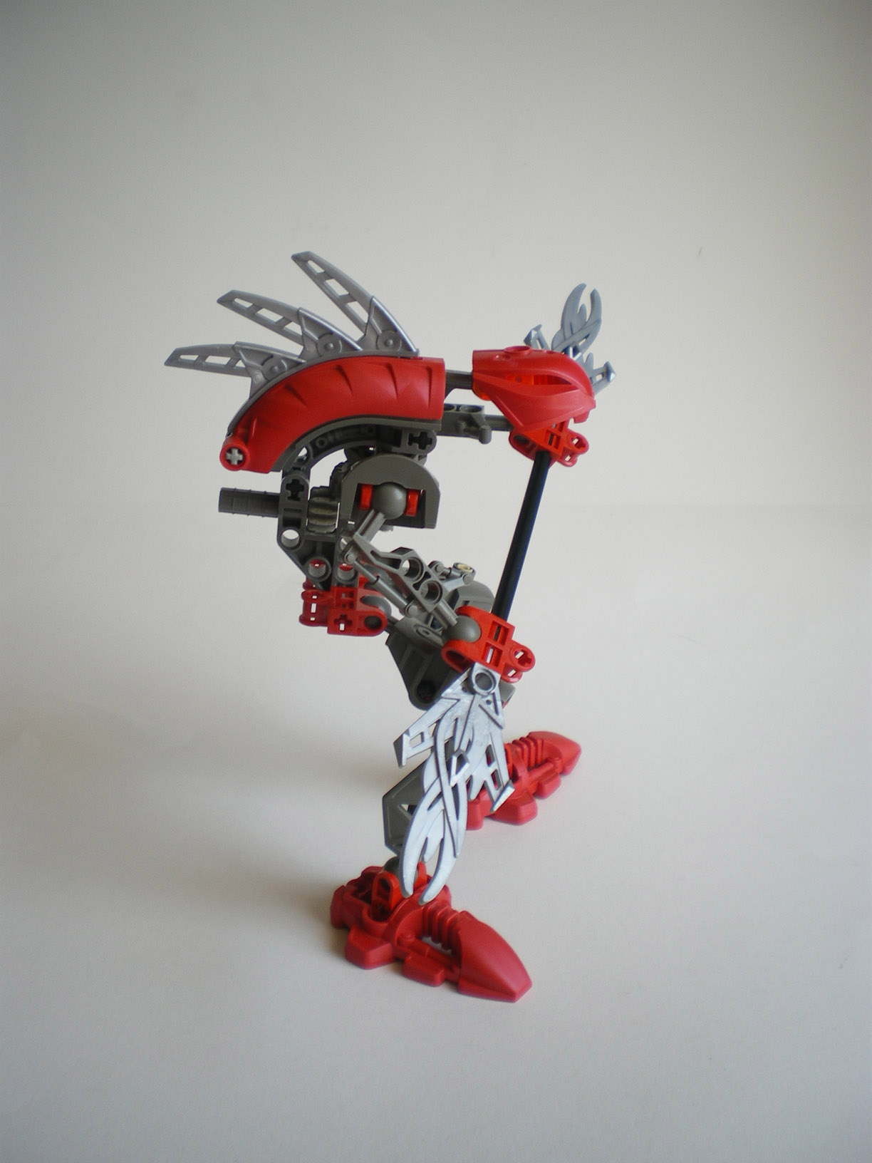 imgp8033.jpg