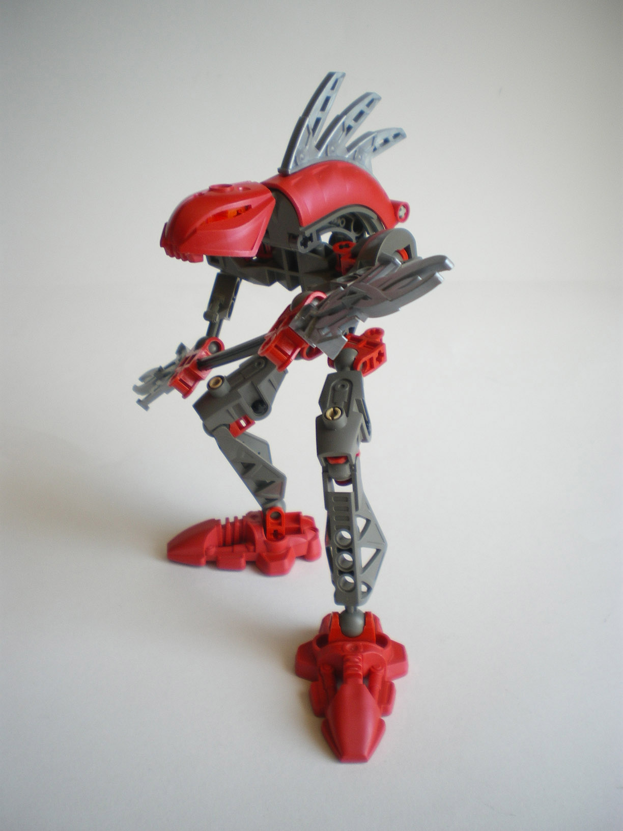 imgp8038.jpg
