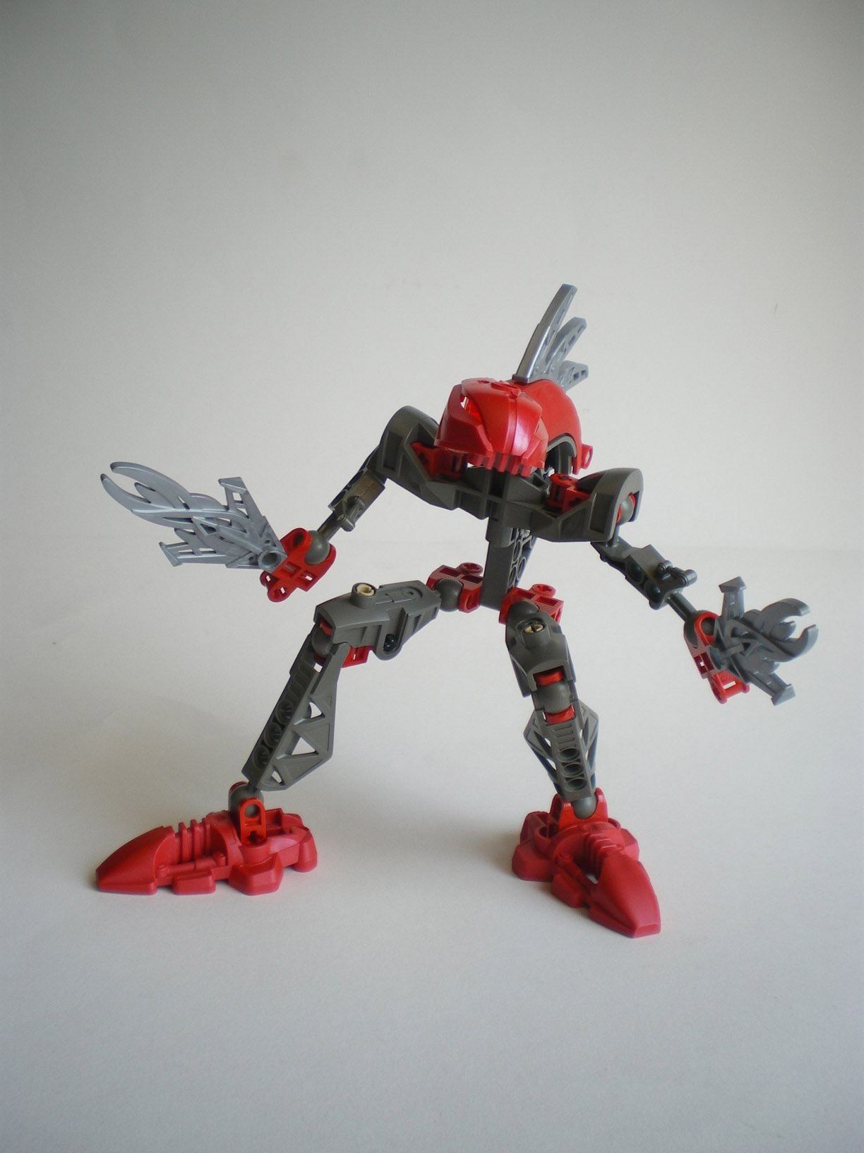 imgp8060.jpg