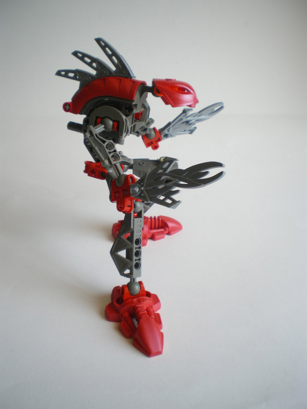 imgp8062.jpg
