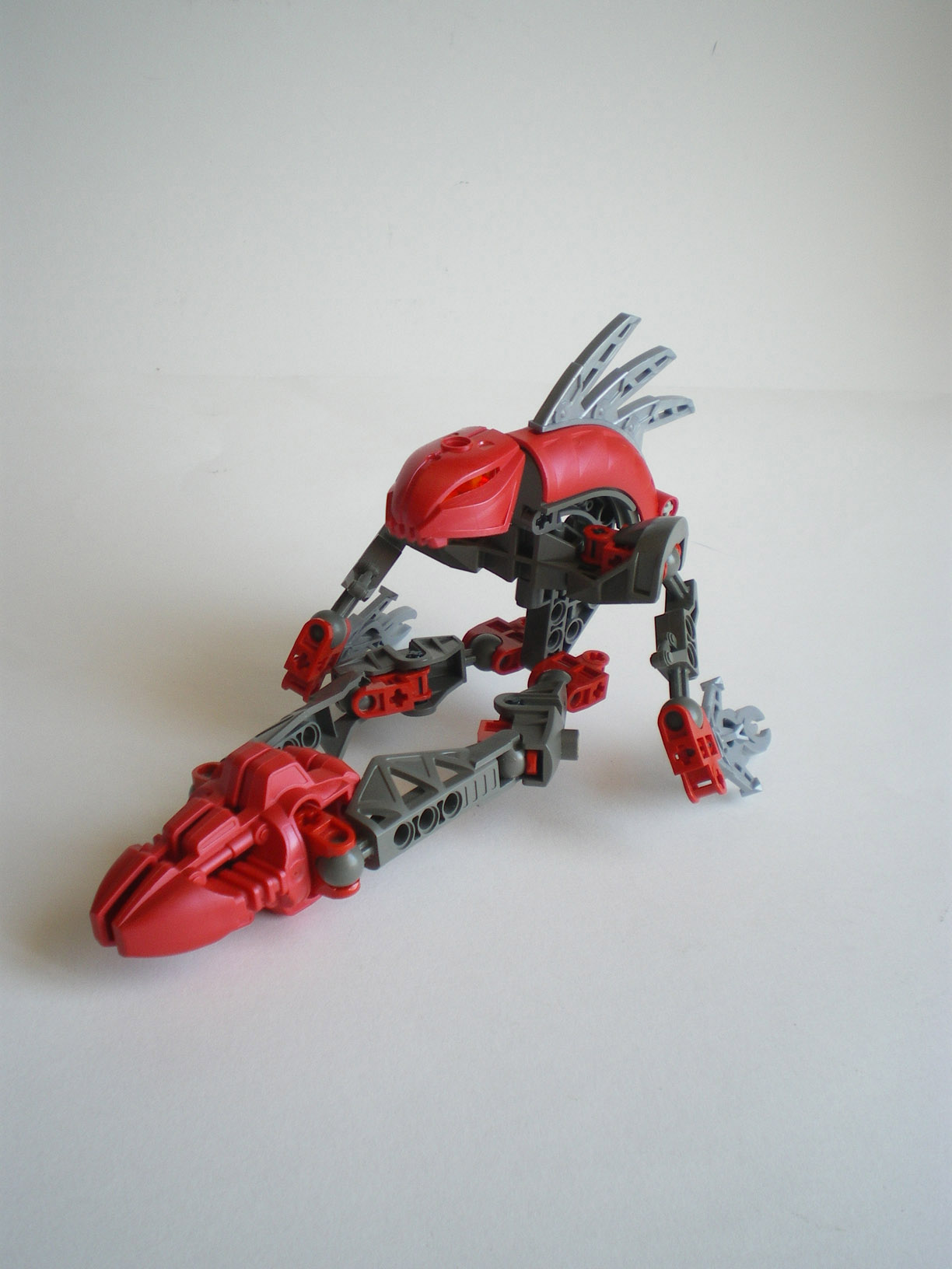 imgp8069.jpg