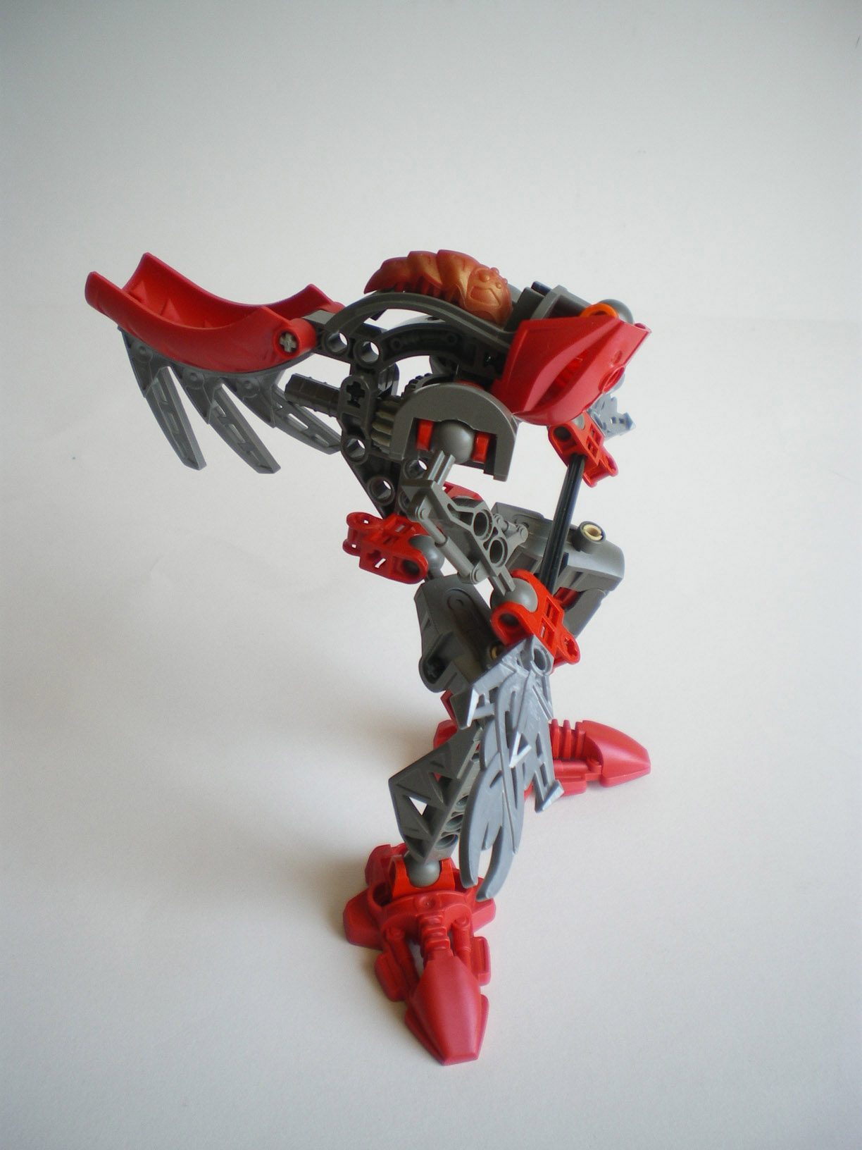 imgp8073.jpg