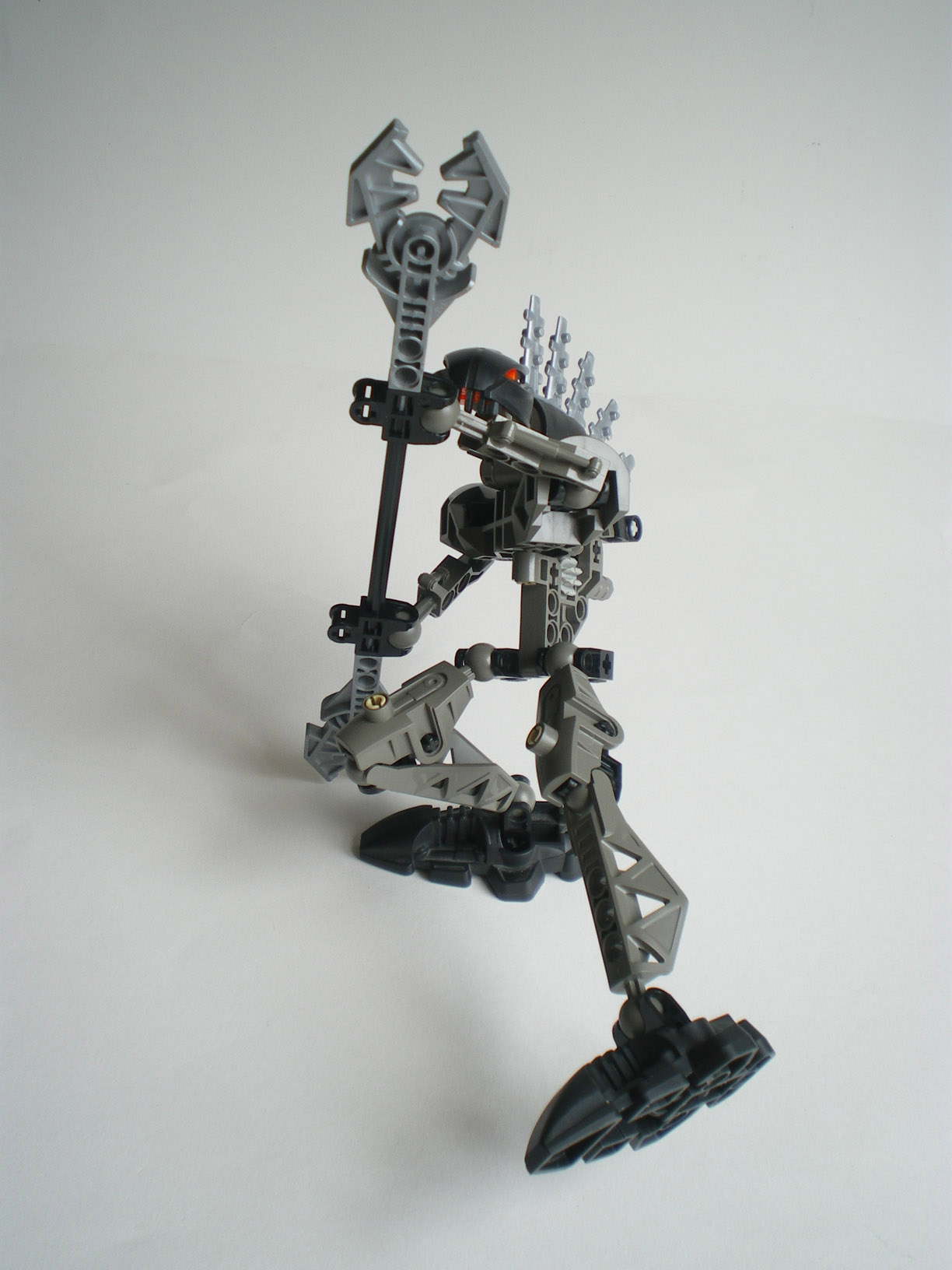 imgp8298.jpg