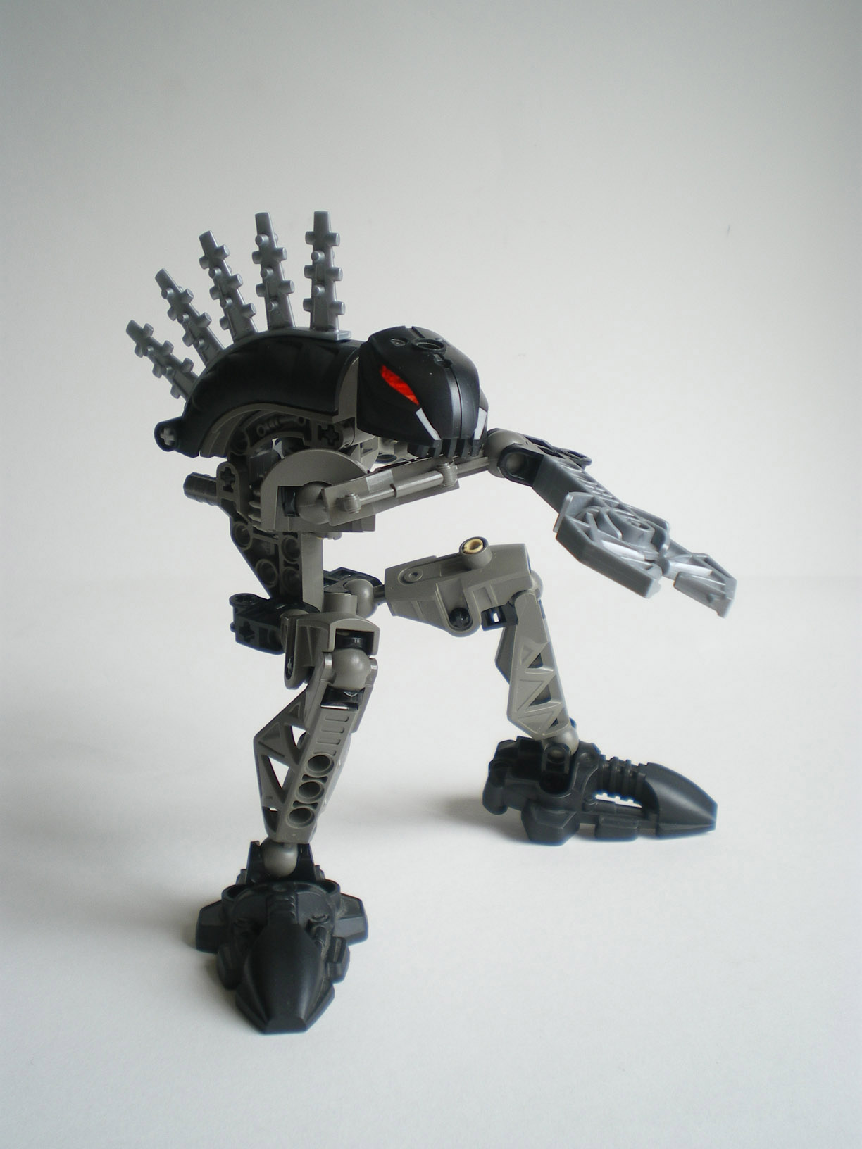 imgp8303.jpg