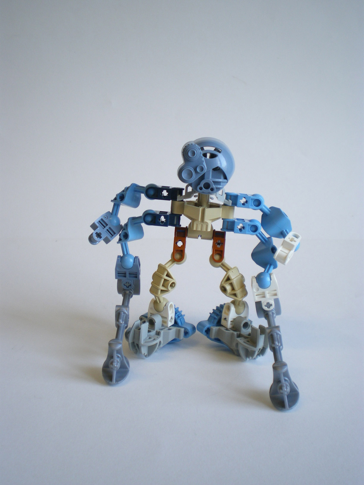 imgp8339.jpg