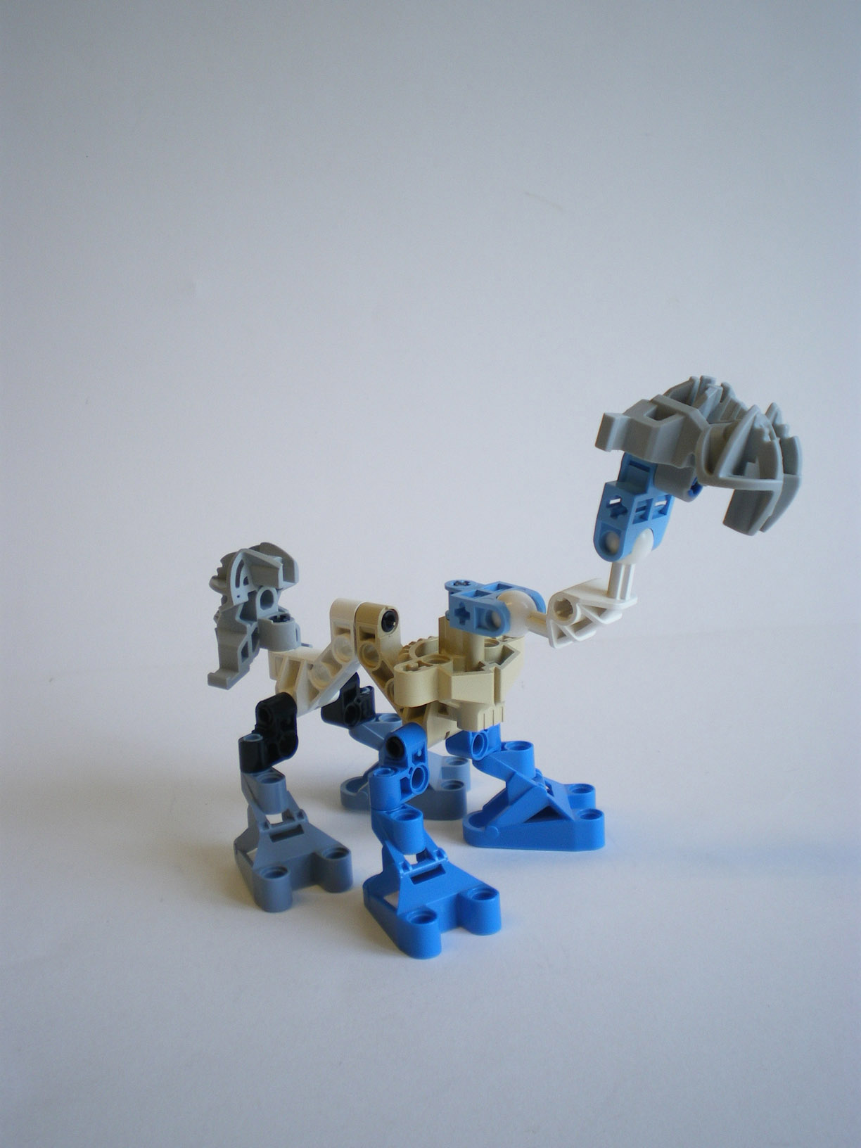 imgp8359.jpg