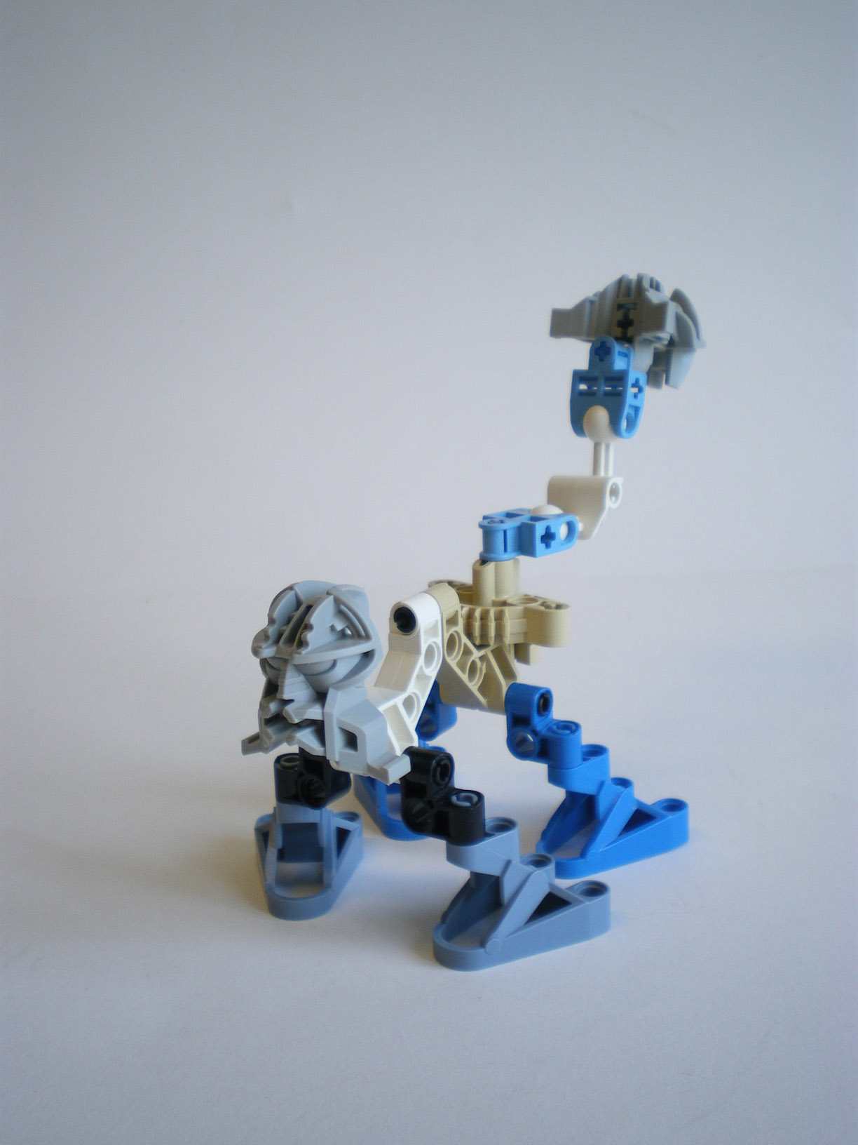 imgp8361.jpg