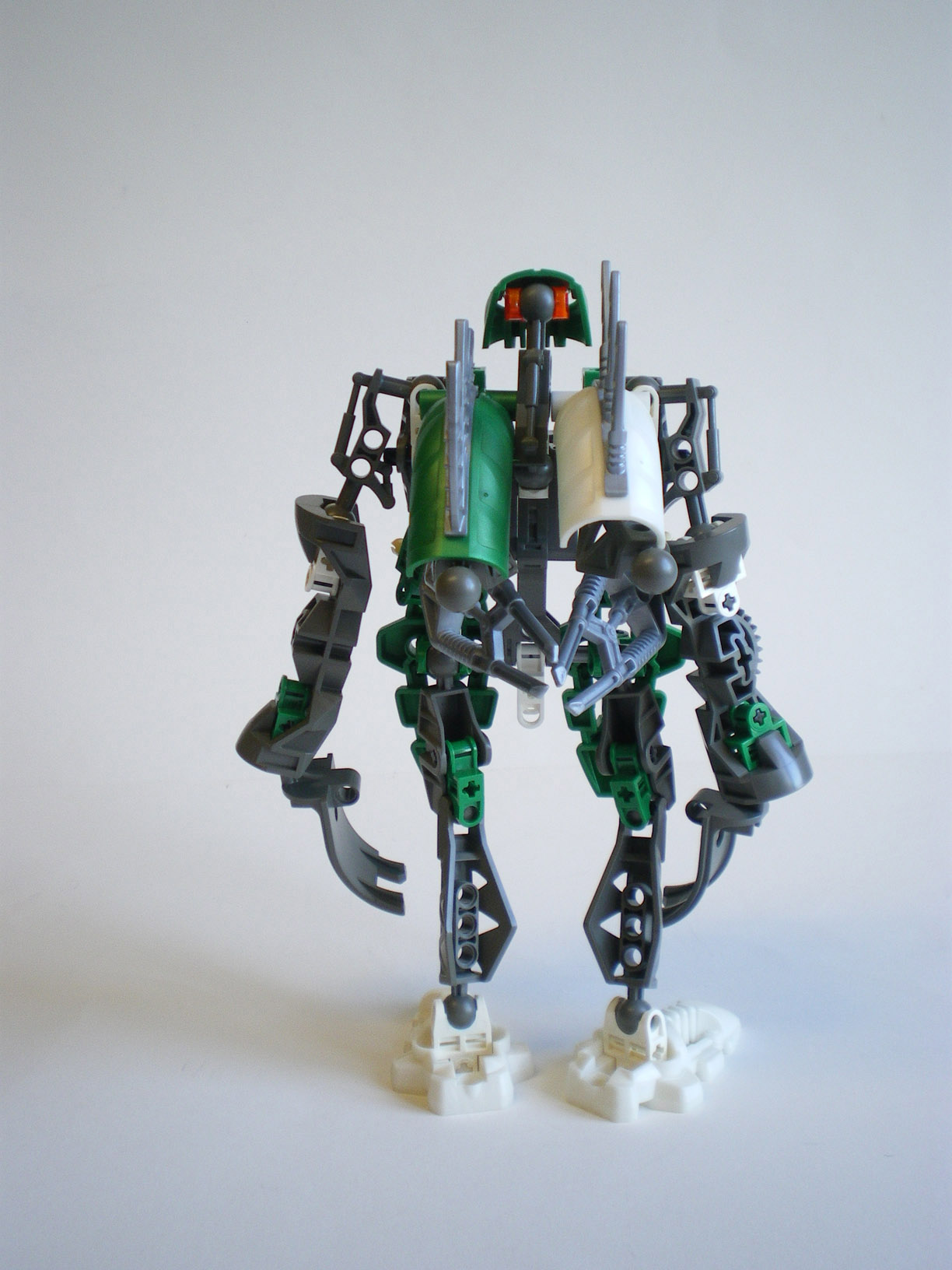 imgp8441.jpg