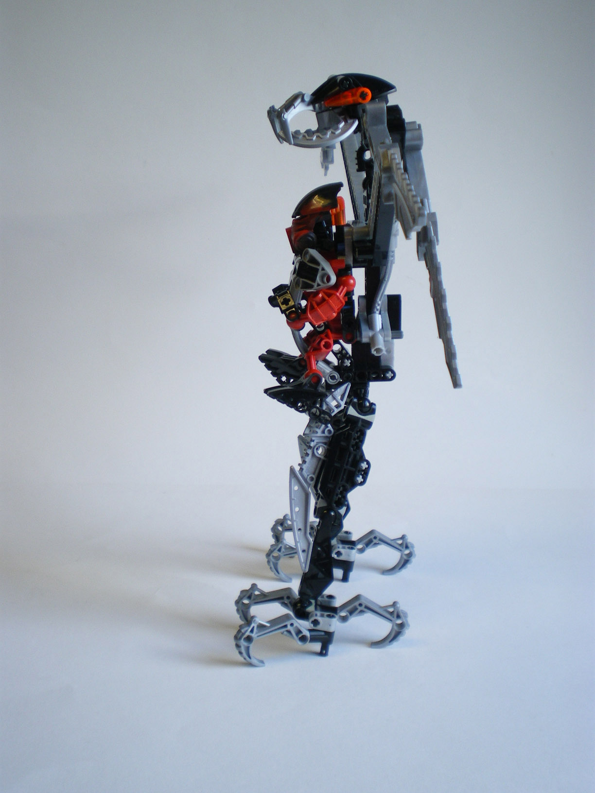 imgp3760.jpg