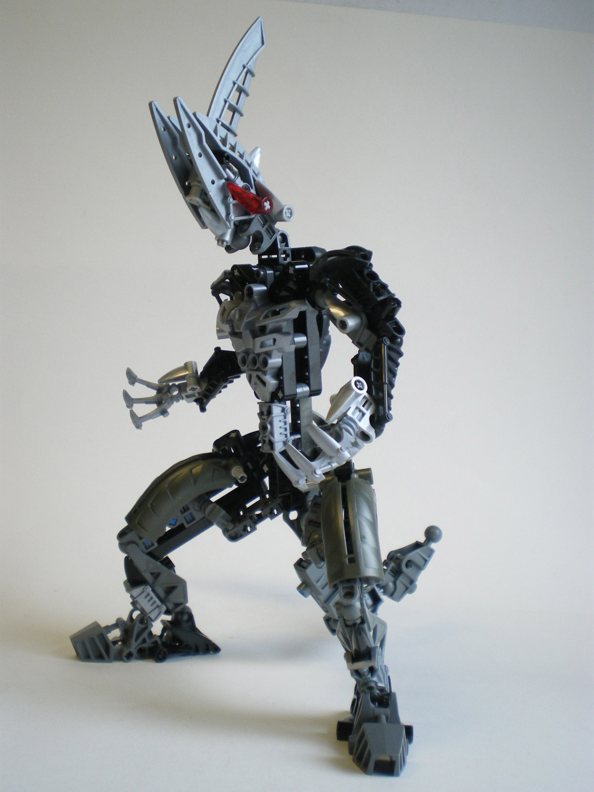 imgp3831.jpg