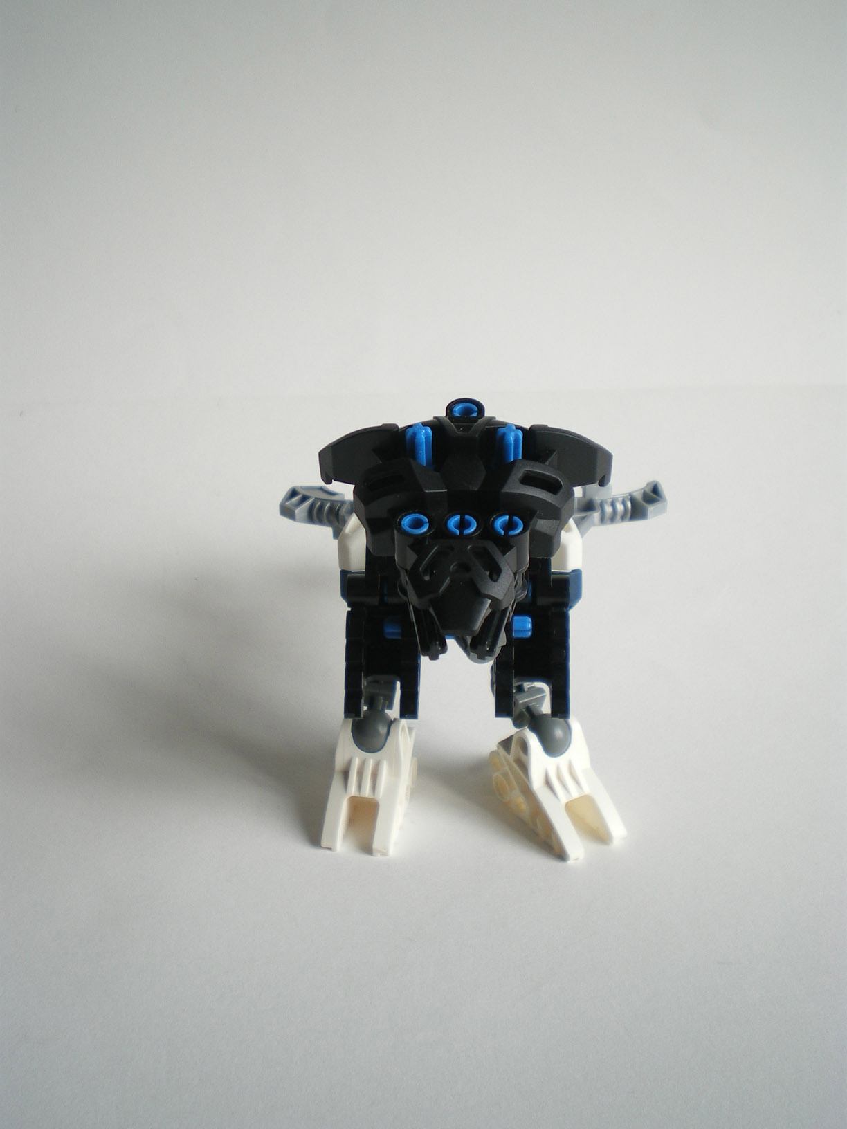 imgp8493.jpg