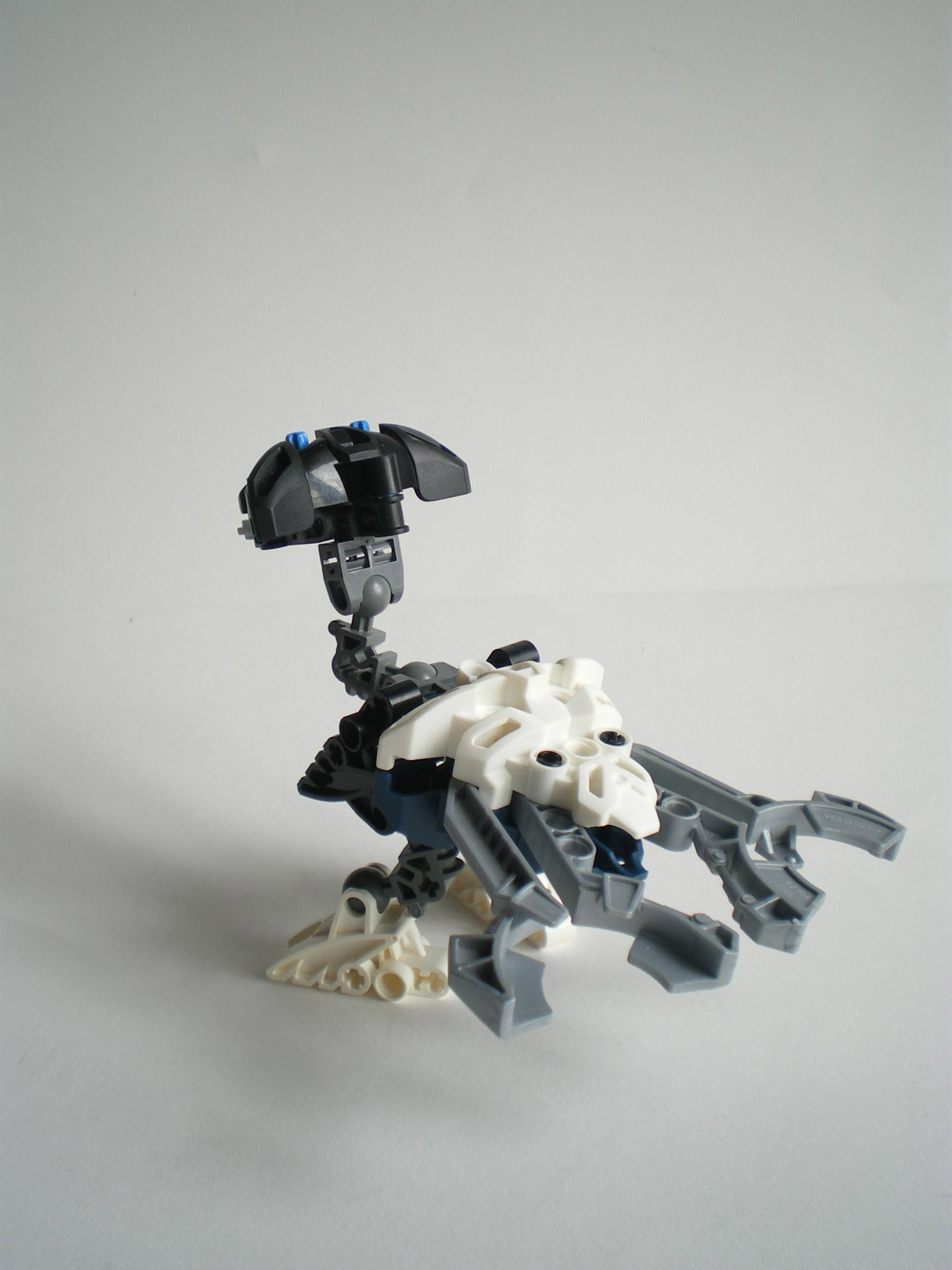 imgp8498.jpg