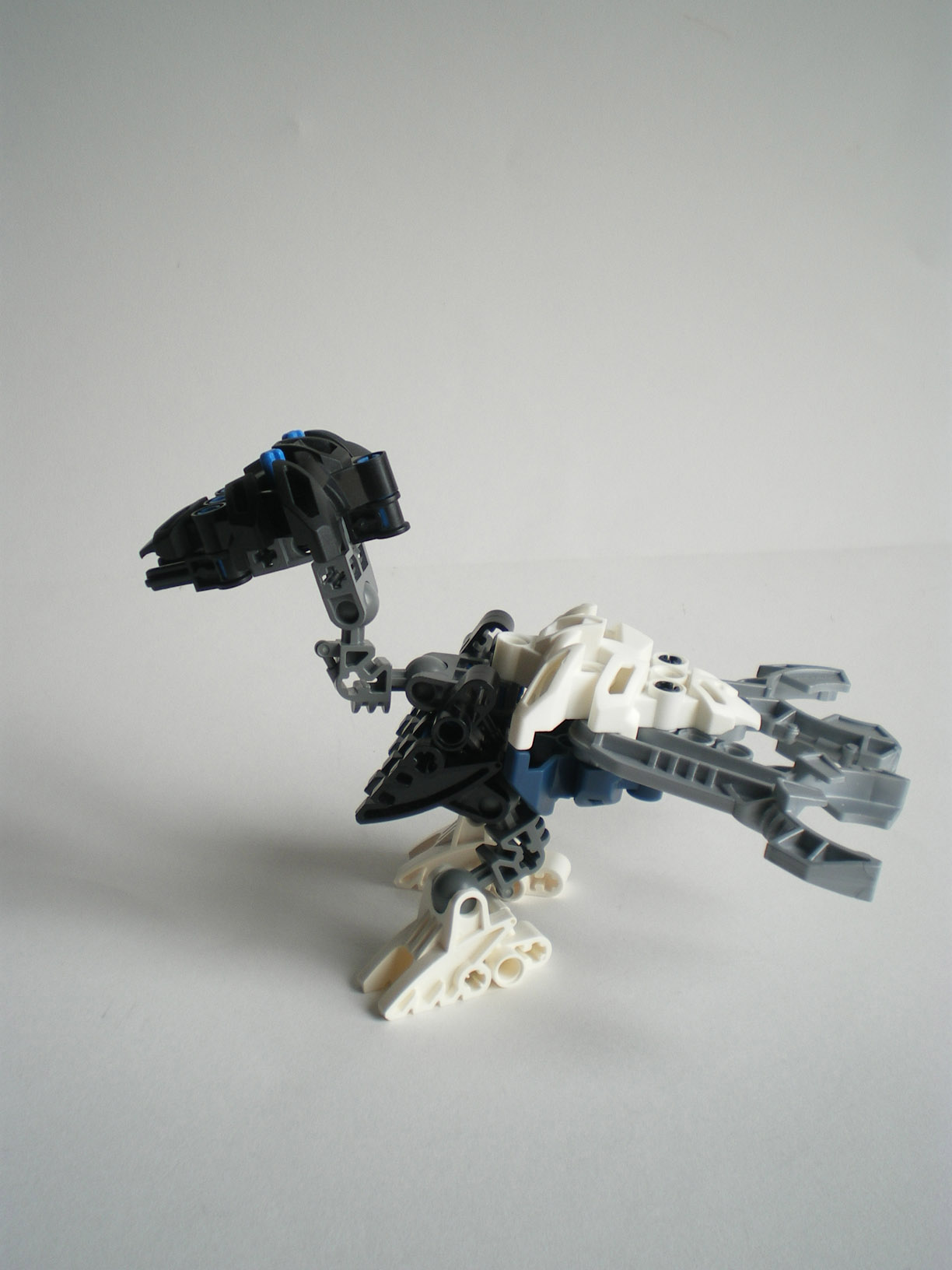imgp8499.jpg
