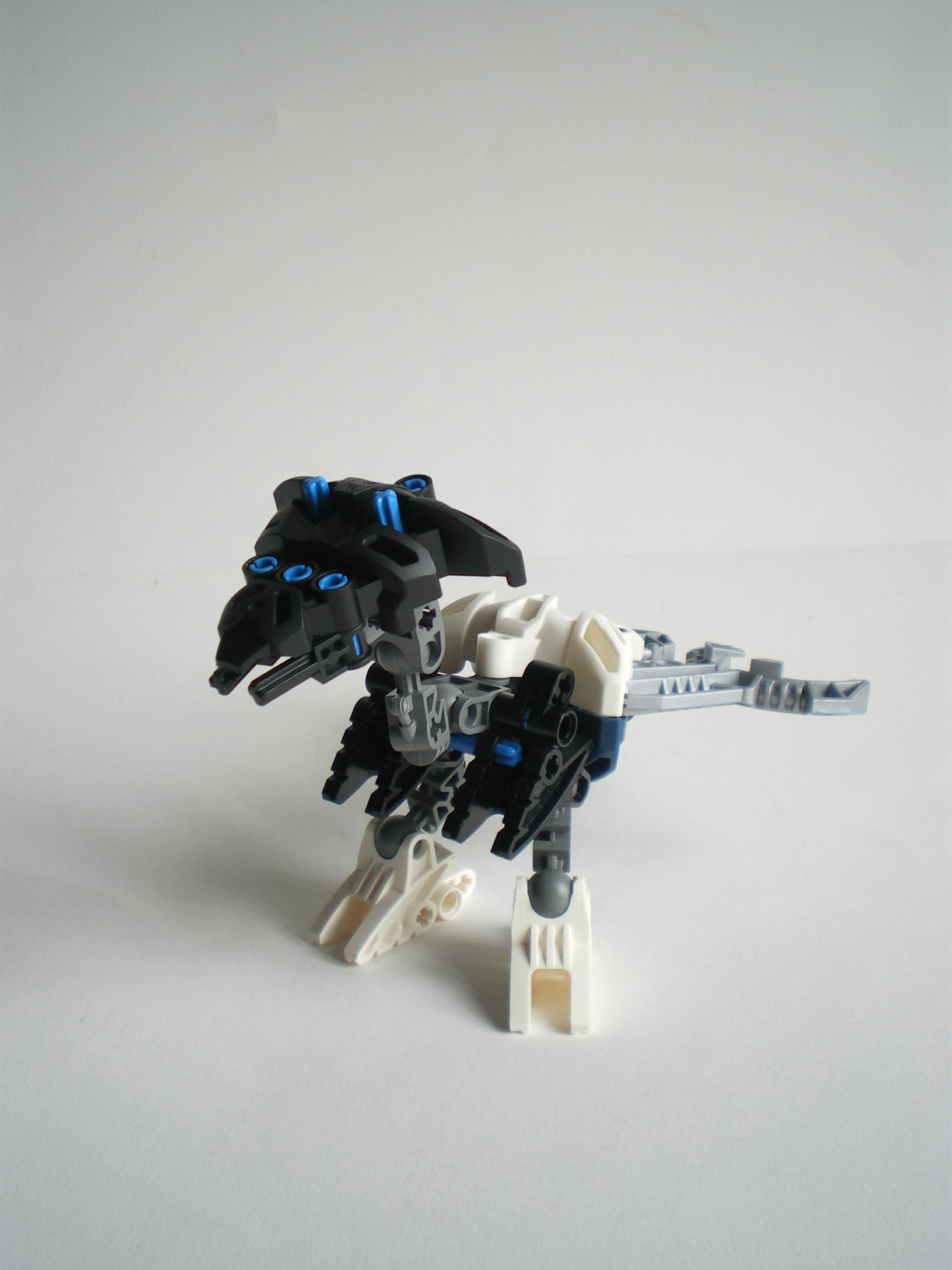 imgp8500.jpg