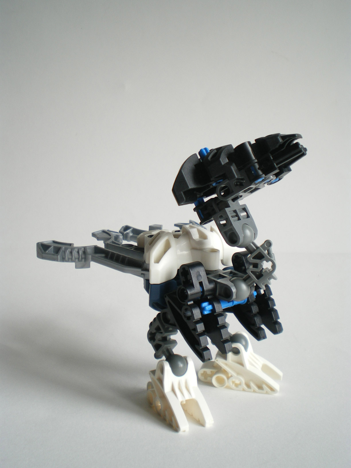 imgp8503.jpg