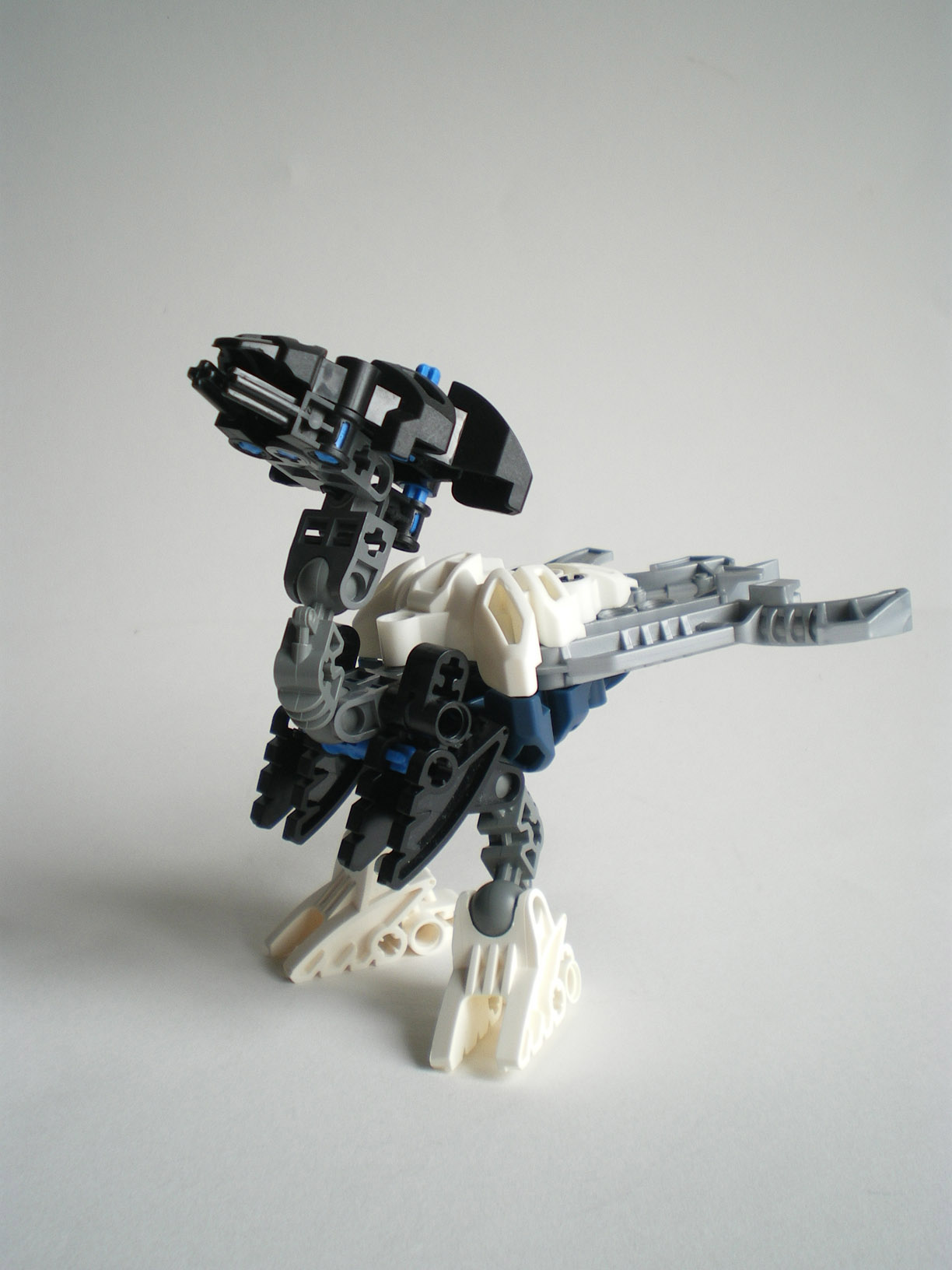 imgp8504.jpg