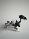 imgp8495.jpg