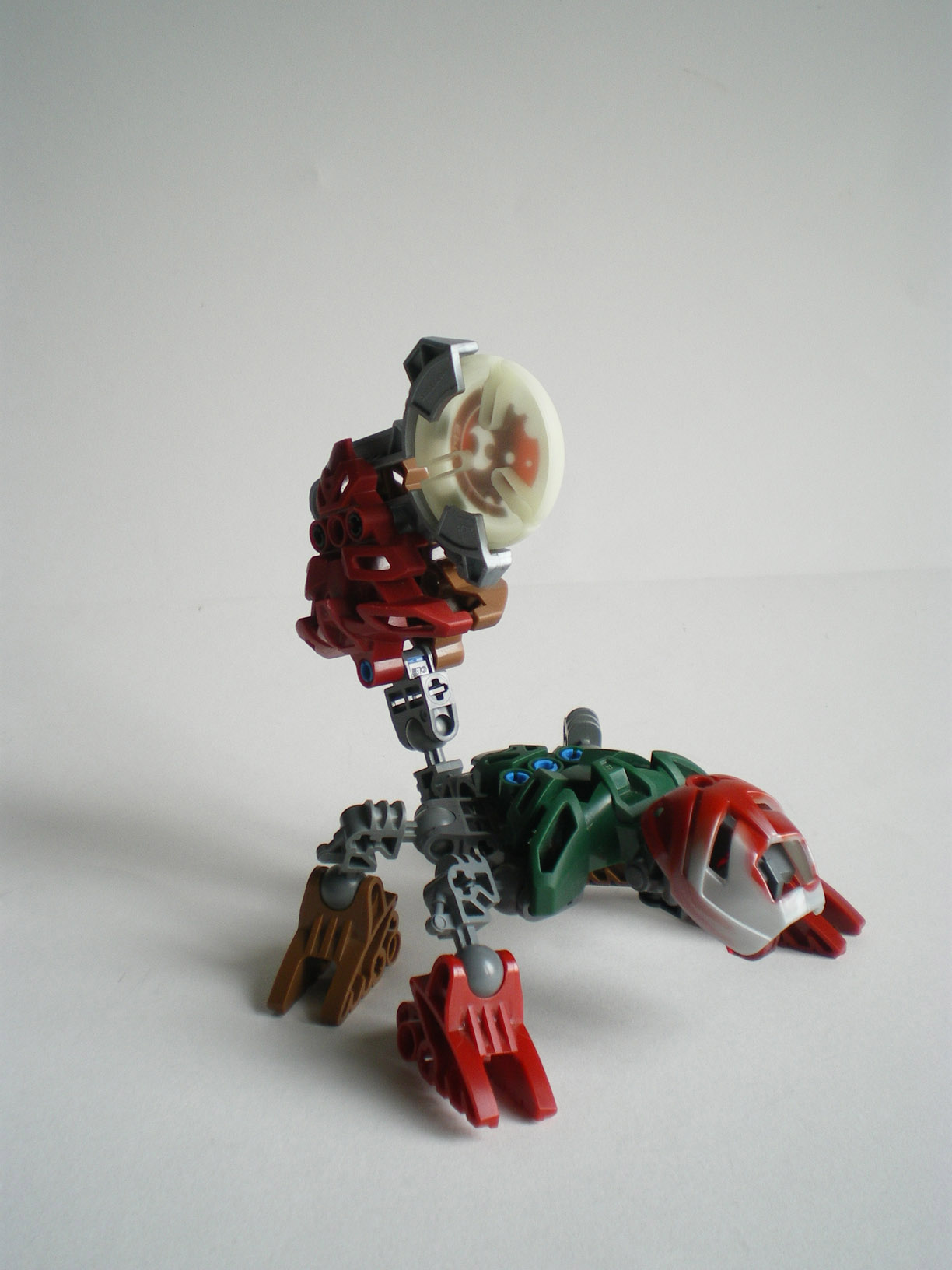 imgp8508.jpg