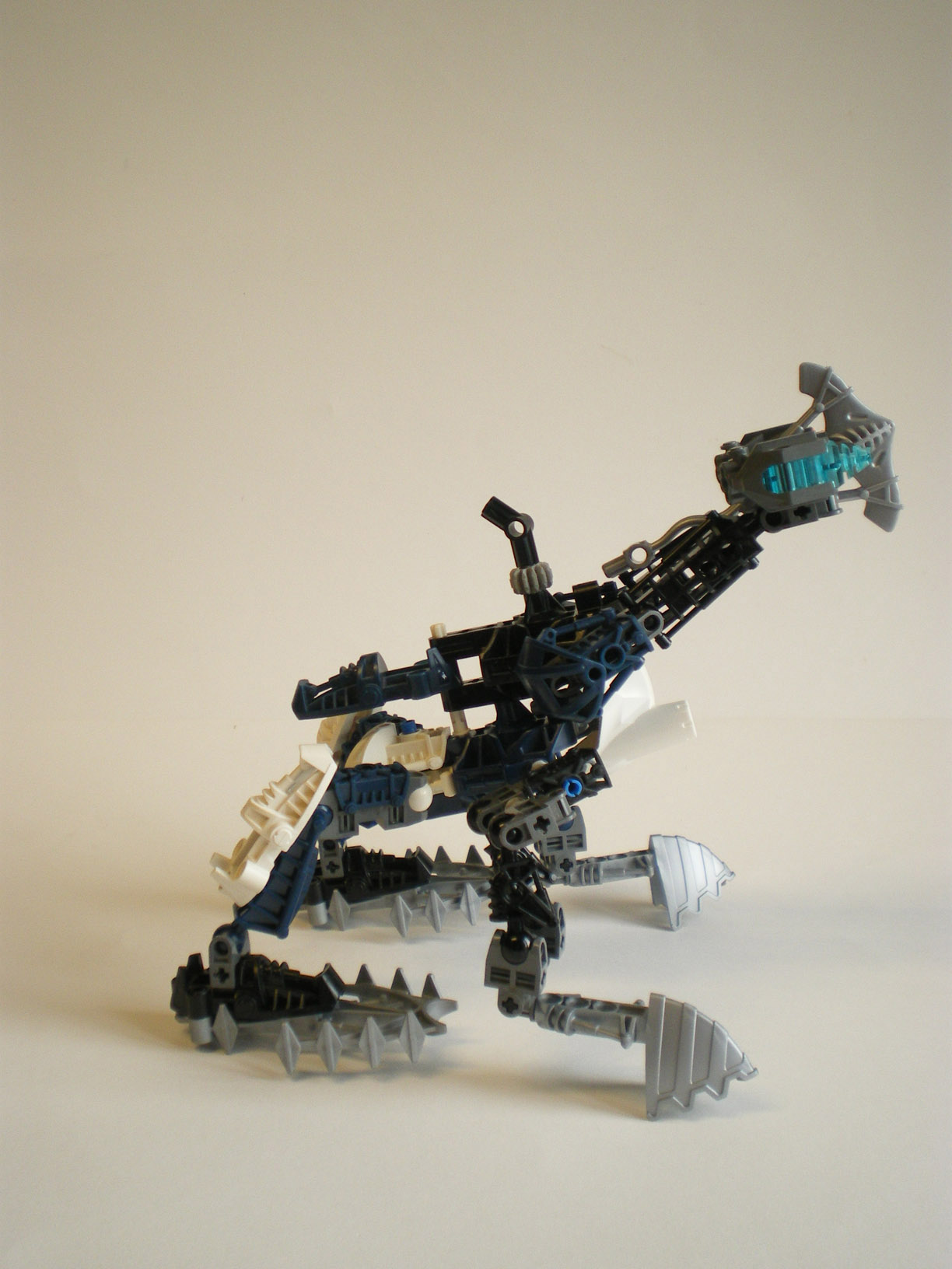 imgp8524.jpg