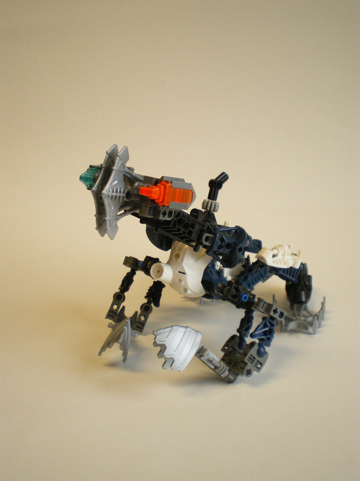 imgp8536.jpg