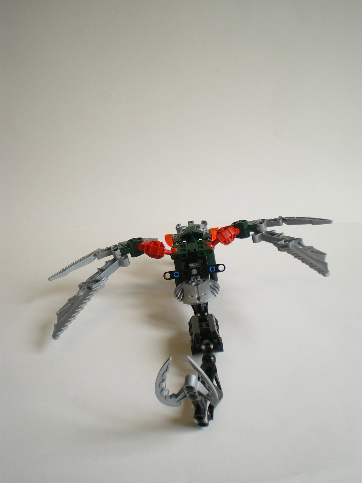imgp8601.jpg