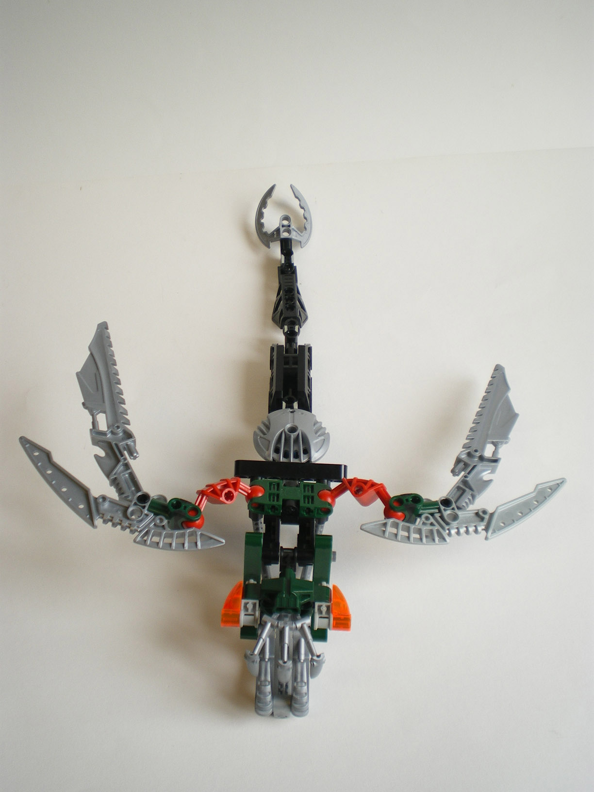 imgp8605.jpg