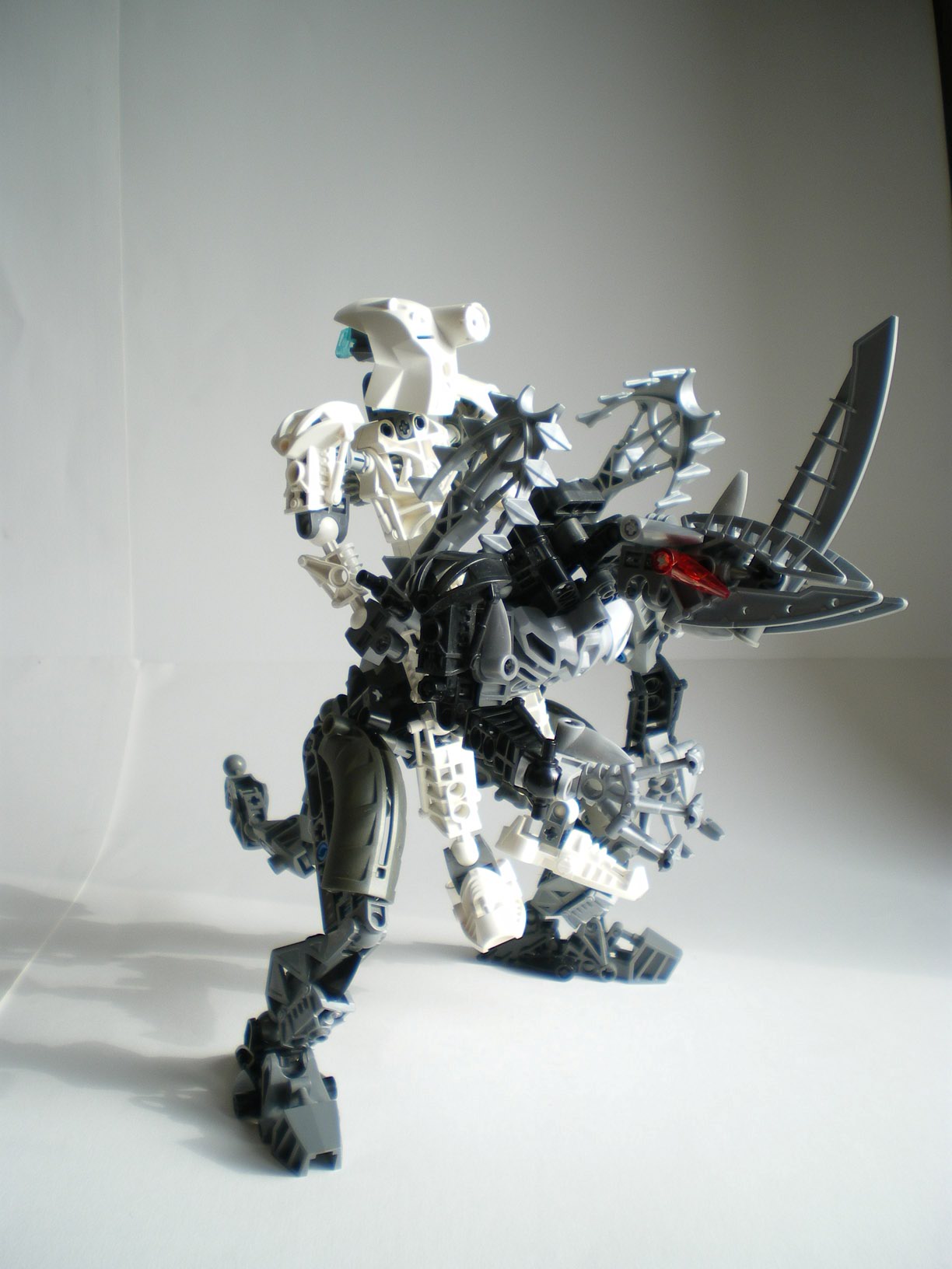 imgp7569.jpg