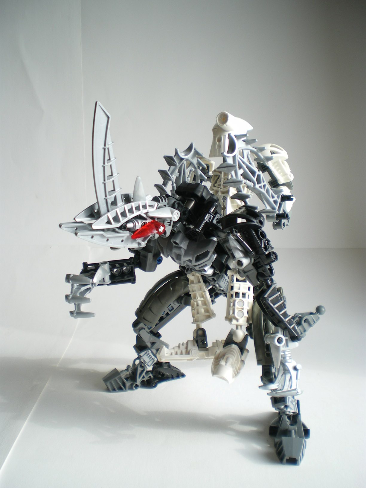 imgp7570.jpg