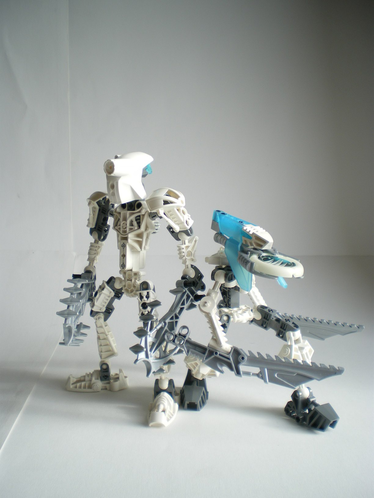 imgp7556.jpg