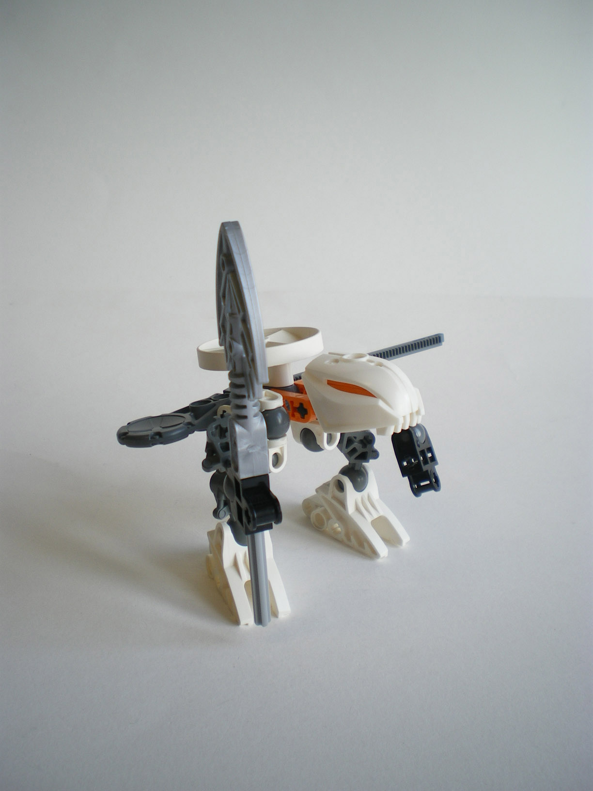 imgp4080.jpg