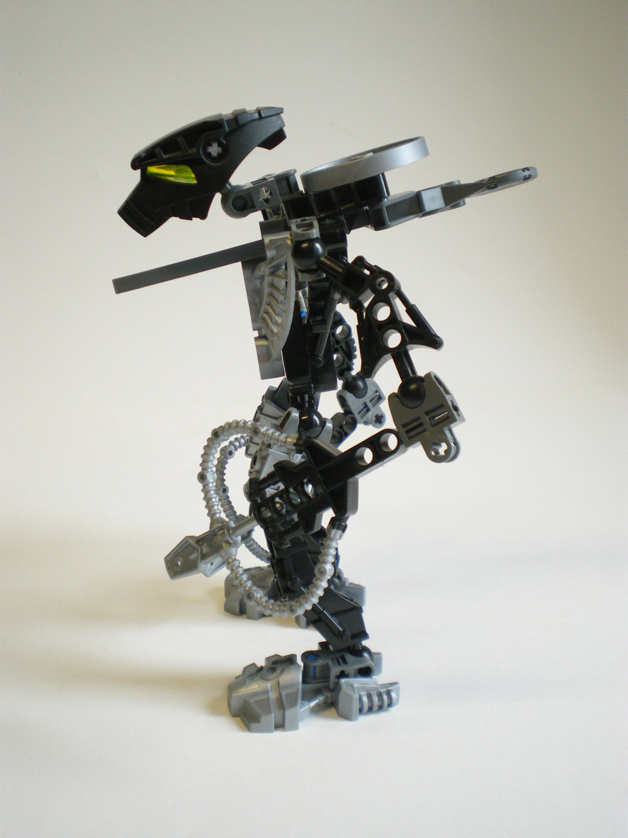 imgp4305.jpg