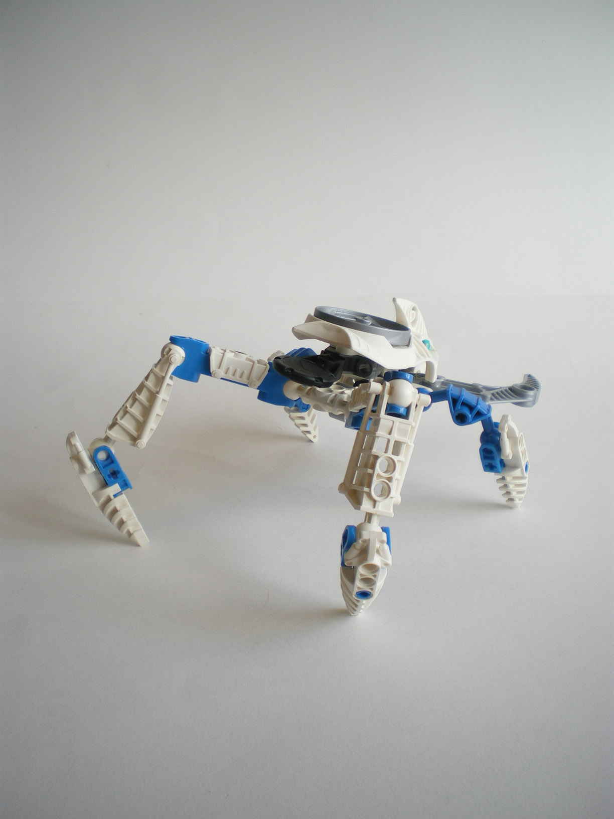 imgp3883.jpg