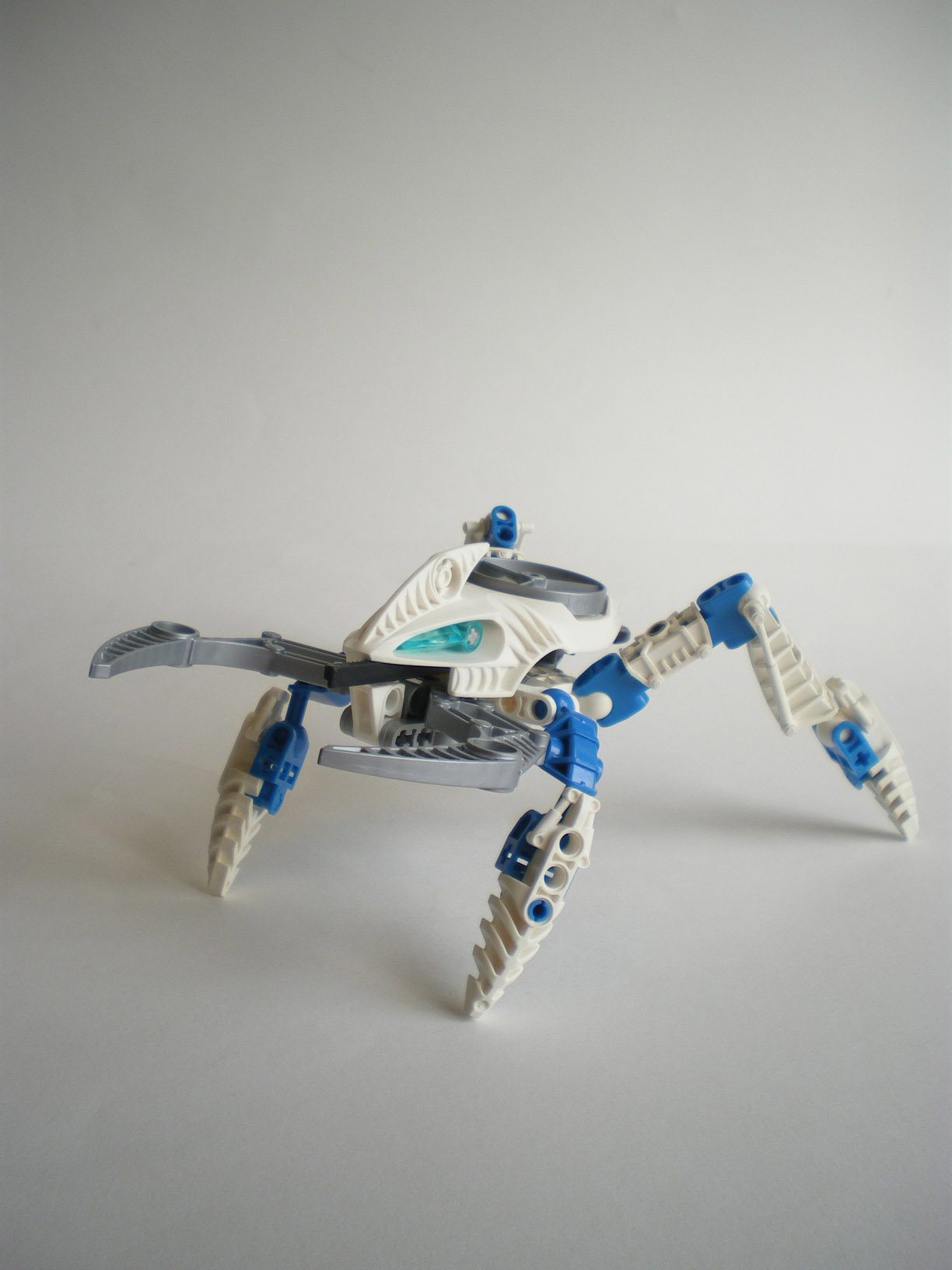 imgp3900.jpg