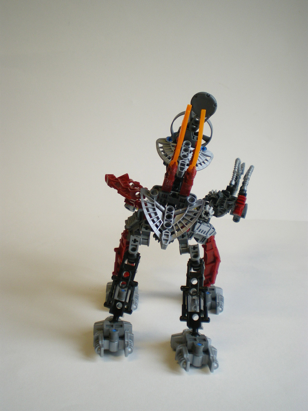 imgp8762.jpg