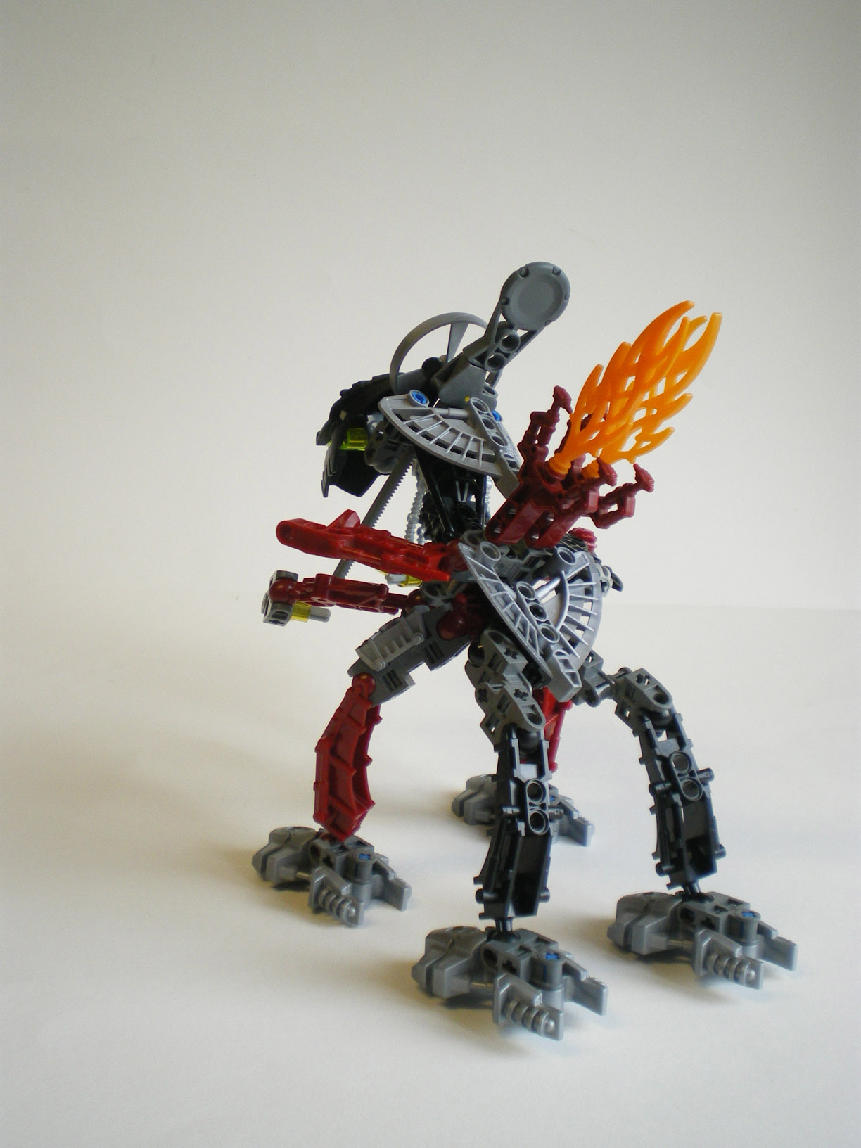 imgp8763.jpg