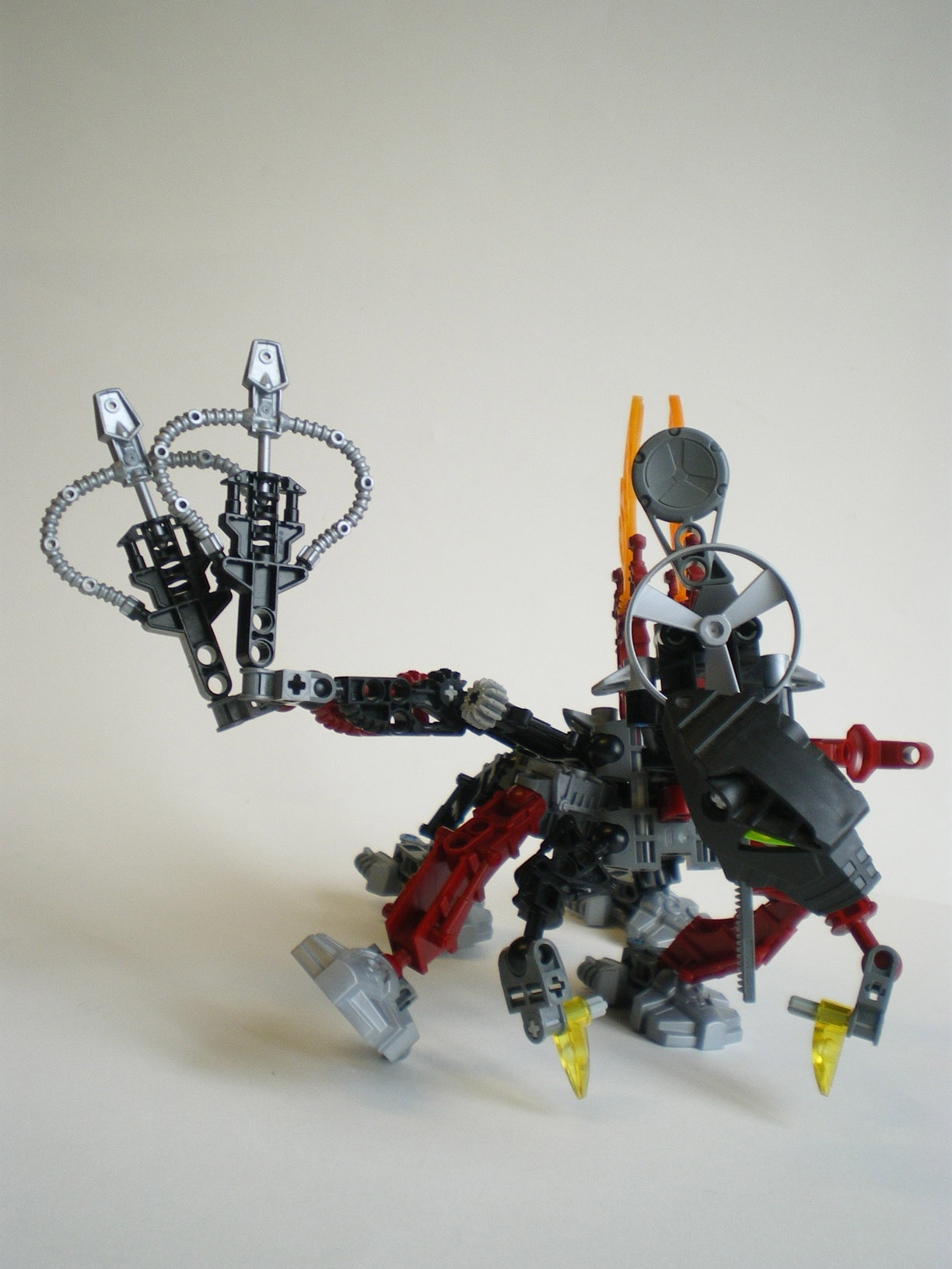imgp8774.jpg