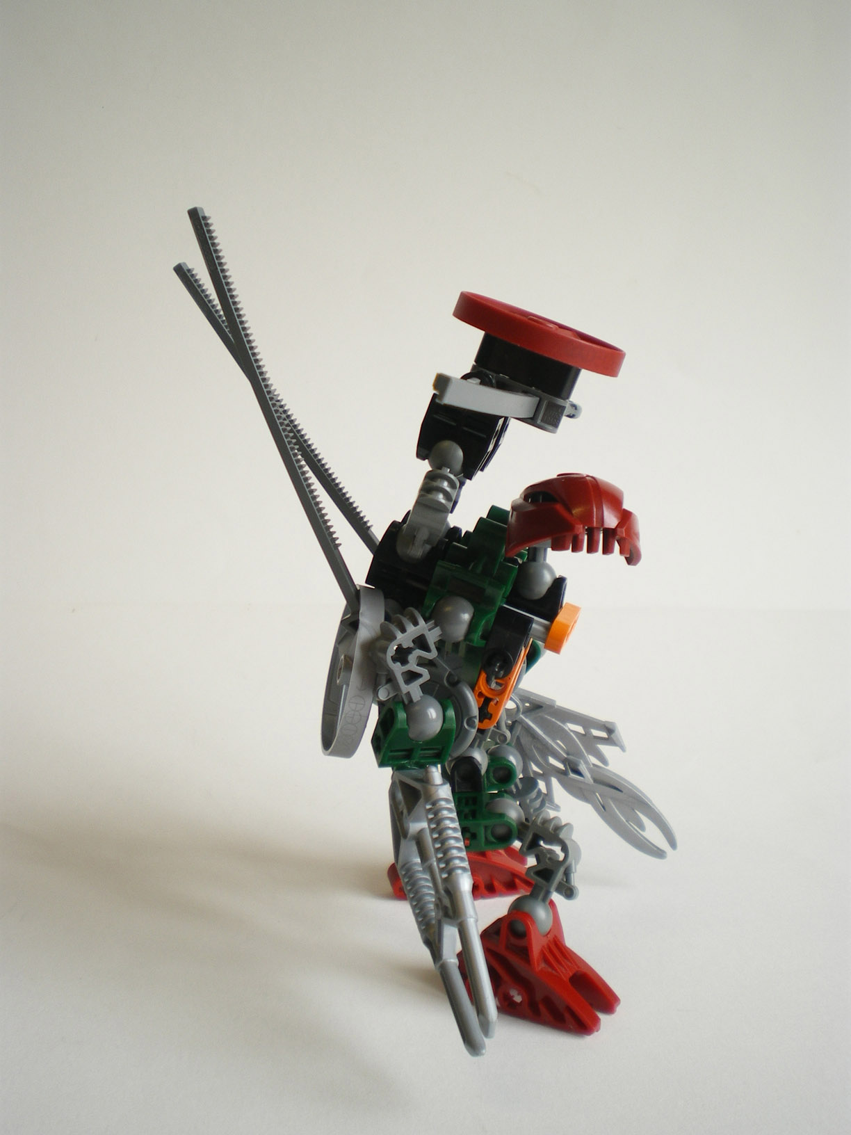 imgp8628.jpg