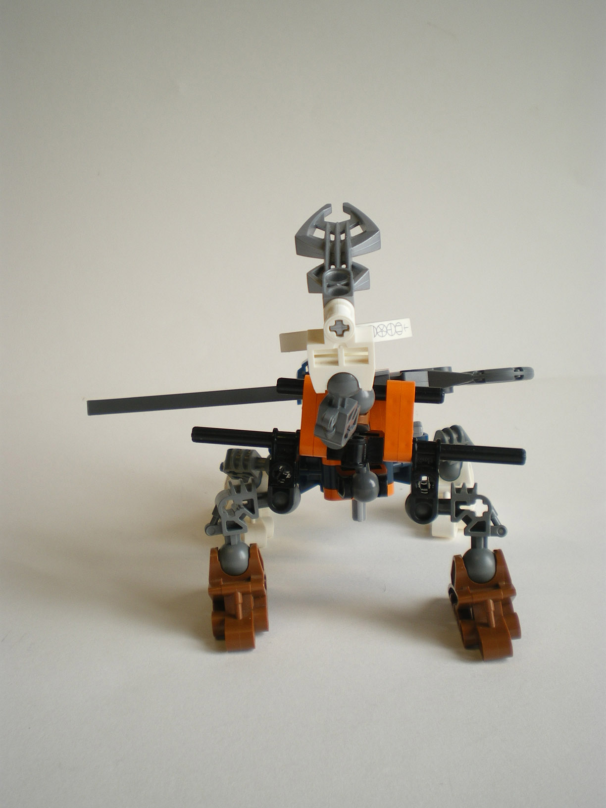 imgp8637.jpg