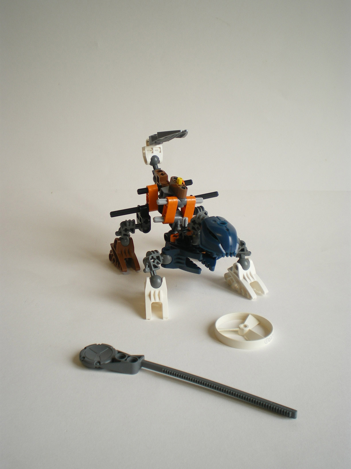 imgp8642.jpg