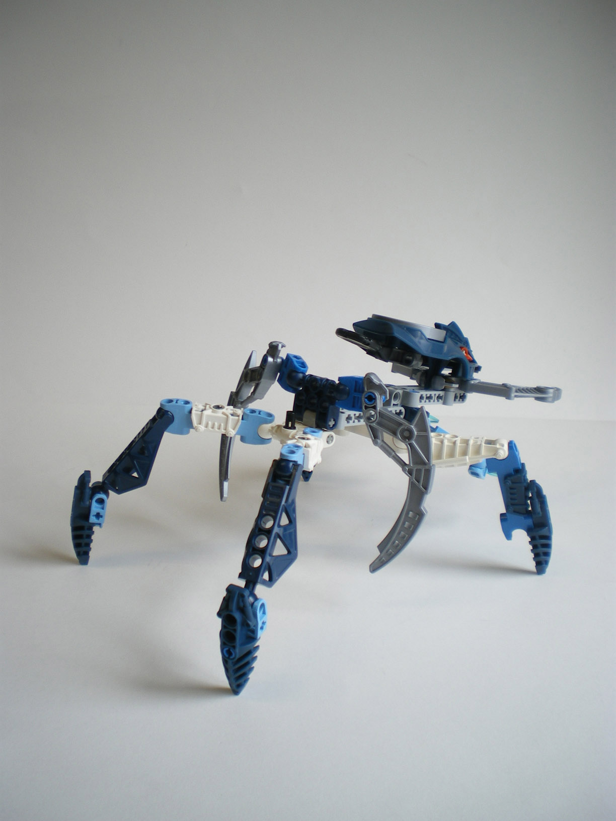 imgp8672.jpg